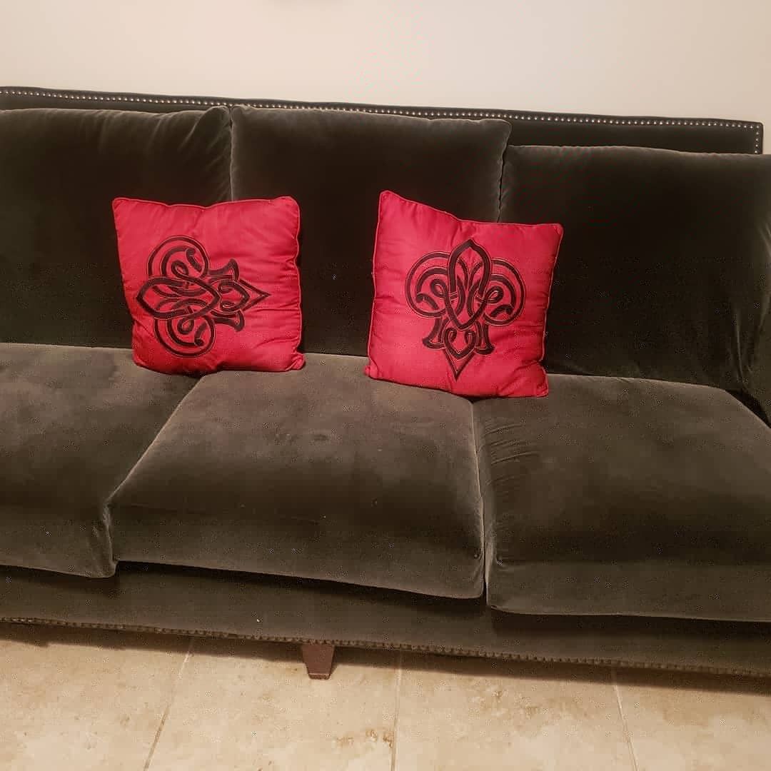 Velvet couch