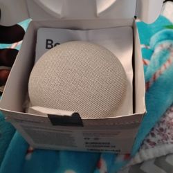 Google Home Mini
