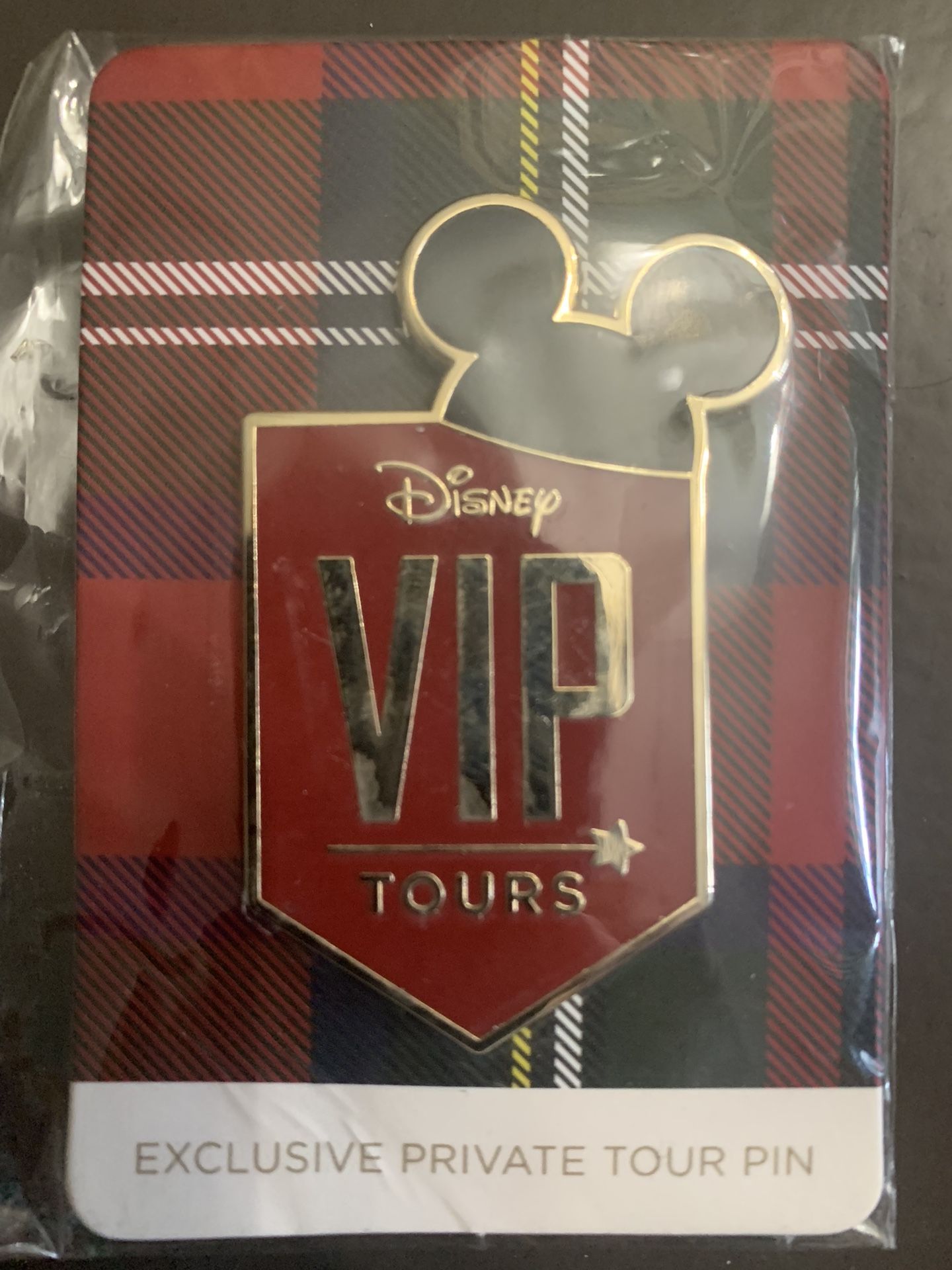 Disney VIP Tours Pin
