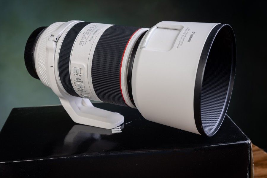 Canon RF 70-200mm f/2.8 IS.