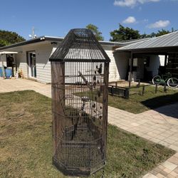 Bird Cage 