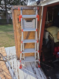 Little Giant Ladder