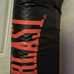New Punching Bag 
