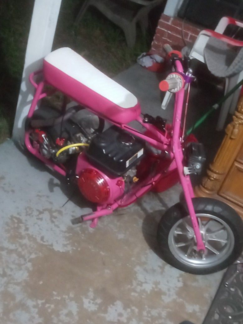 Mini Bike