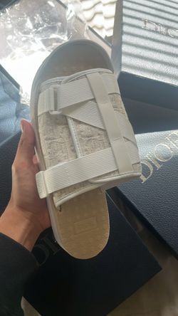 Dior slides