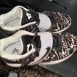 Kobe’s
