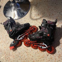 Roller Skates 