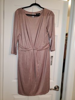 NWT Tahari Champagne Rose Dress