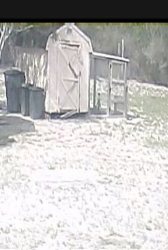 Free 8x8 shed