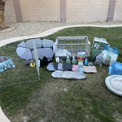 Guinea pig cage food and accesories