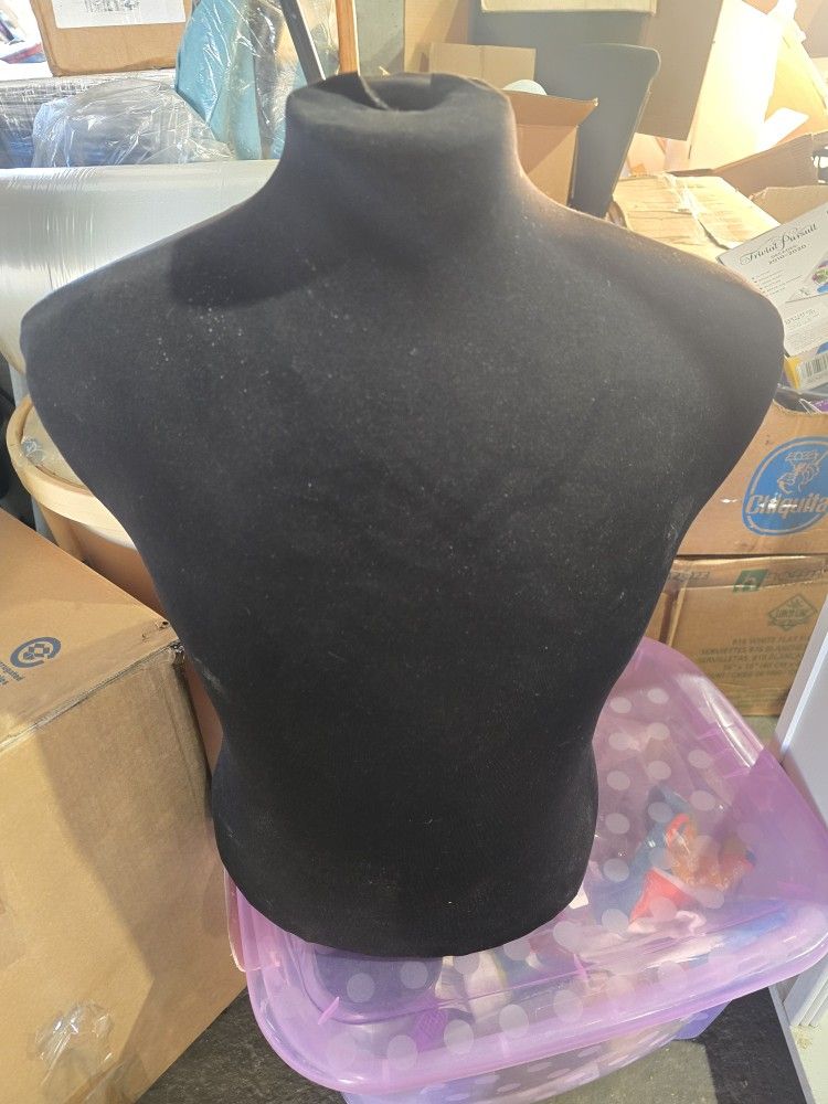 Mannequins / Dress Forms – 5 Total ✨