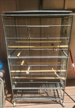 Bird cage.