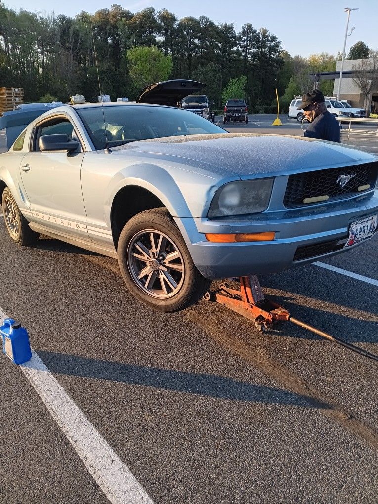 Mustang