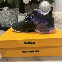 Lebron Witness VII