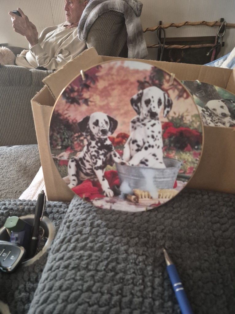 This Is A Collection Plate. On The Back Said  You Missed  A Spot  The Year 1995