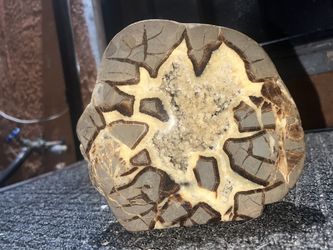 Septarian Nodule 
