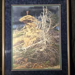 Signed And Framed Print 