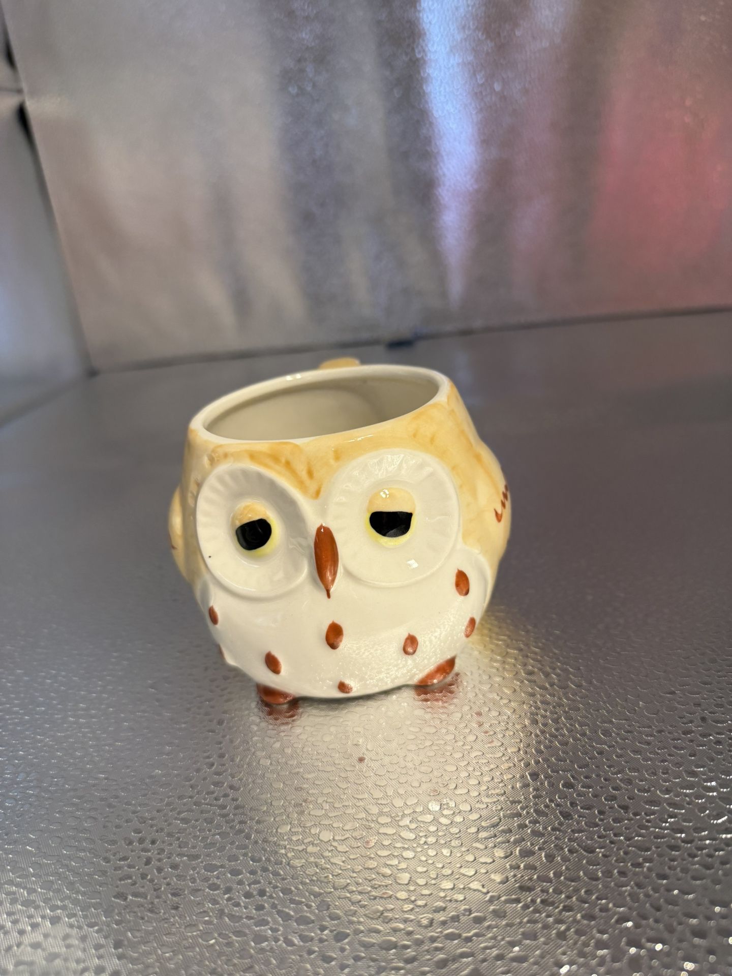 Owl Mug 