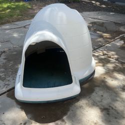 Dog Igloo House