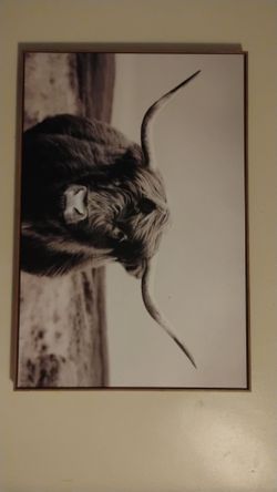 Highland cow frame/ Decor/ wall Decor/ Cow decor