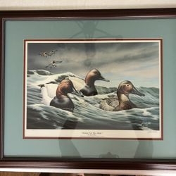 Ducks Unlimited Along For The Ride