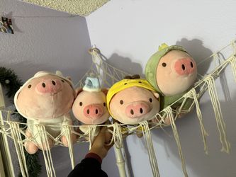 Piggies with different hoodies on 