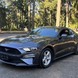 2019 Ford Mustang