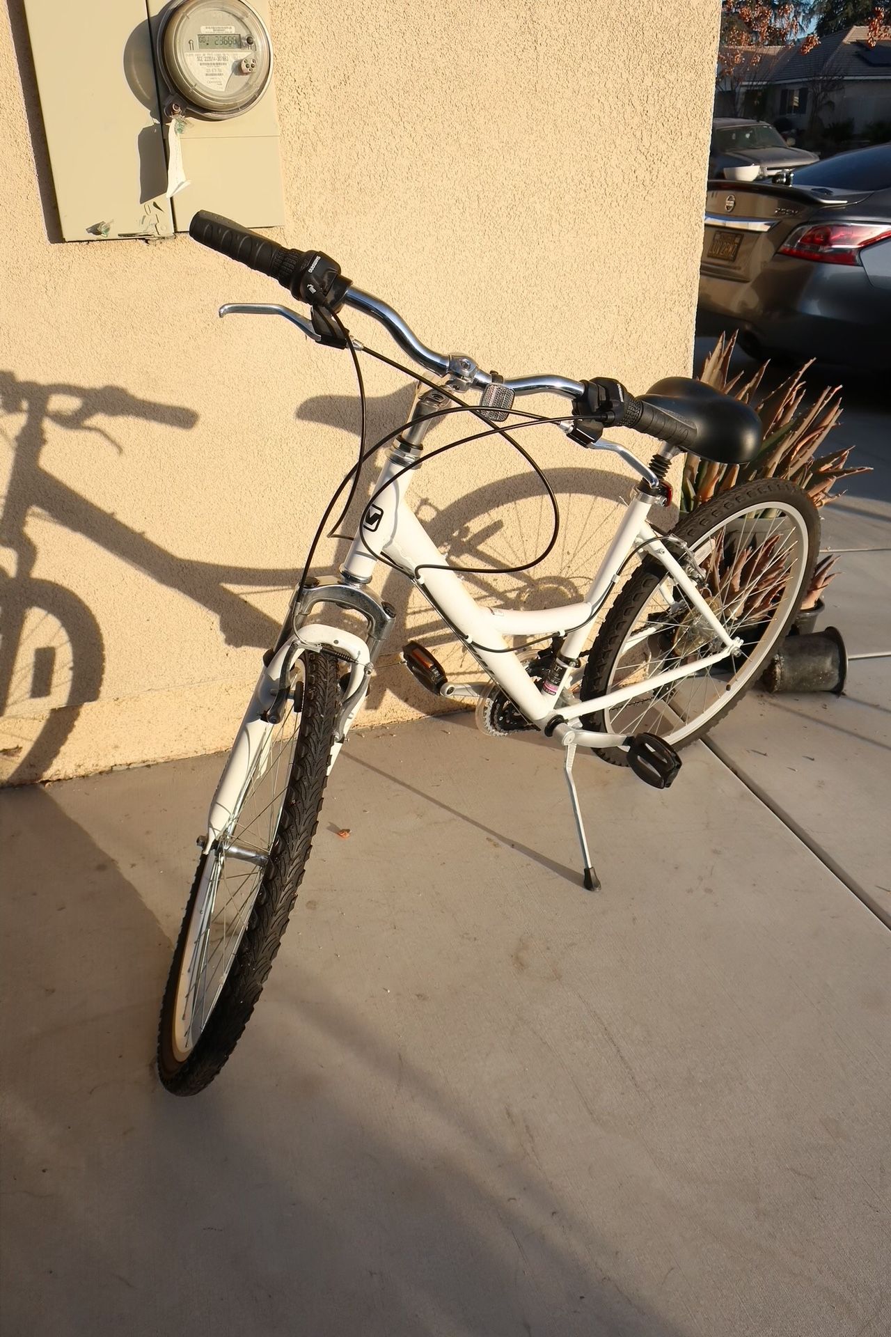 Tamarack Nishiki Bike