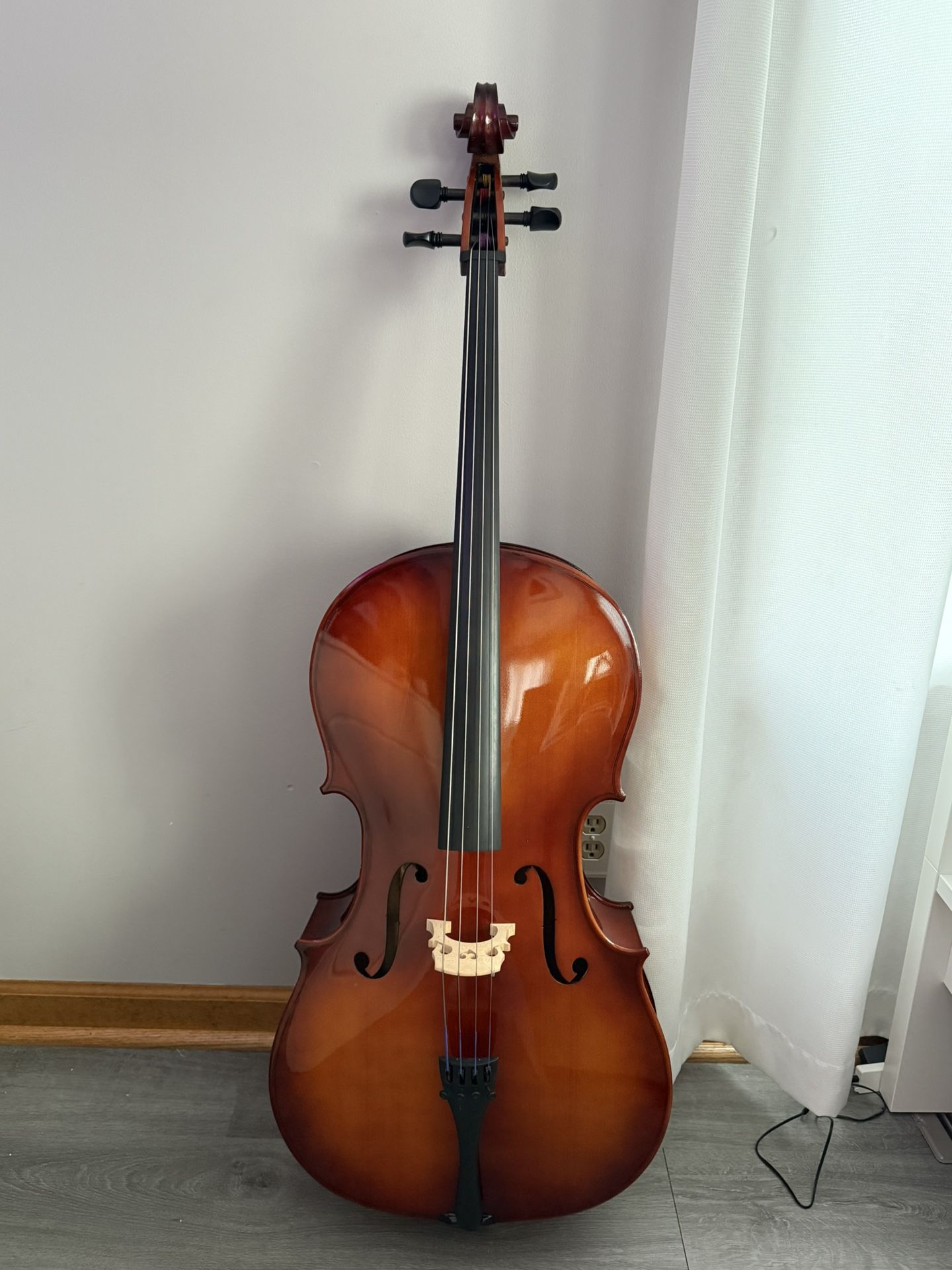 Core Academy A30 4/4"" Cello Outfit With Bow And Bag