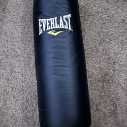 Big Everlast Punching bag