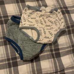 5T Training Underwear 