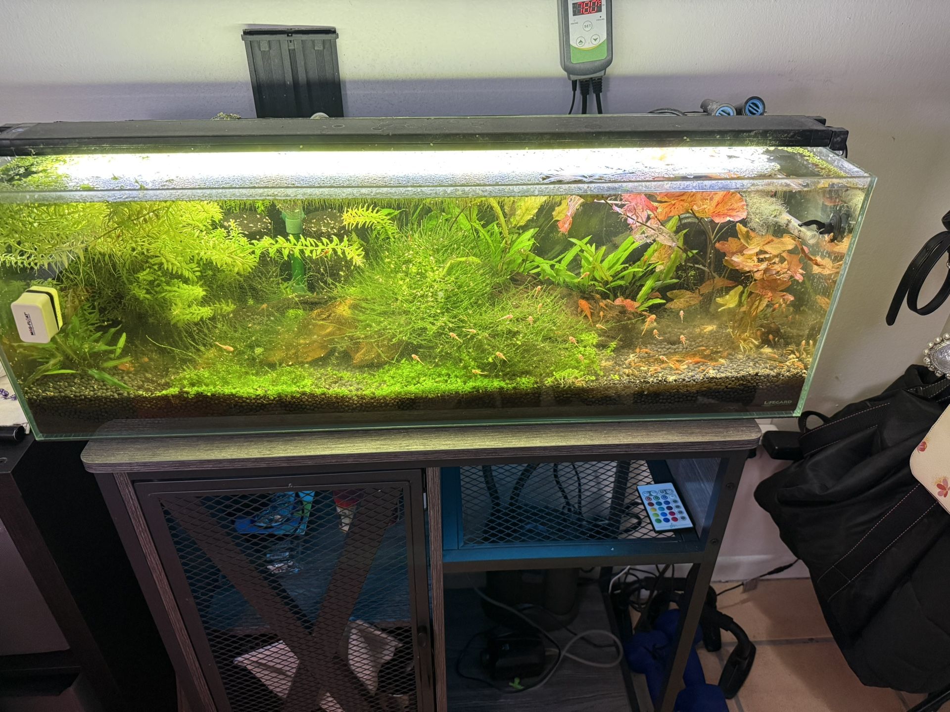 Aquarium 16 Gallon Rimless