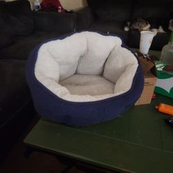 Cat Bed 