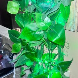 Set Of 2 Hanging Fake Plants With Fairy Lights 