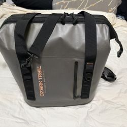 Ozark Trail 24 Can Soft Sided Cooler in Gray