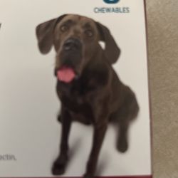 Prevention For Pups And Dogs