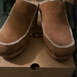 Ugg Mules