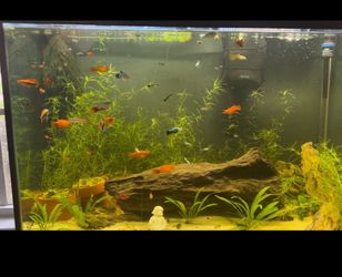 65 gallon fish tank with lids