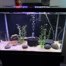 Fish Tank 20 Gallon With Stand 