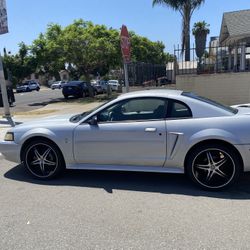 2000 Ford Mustang