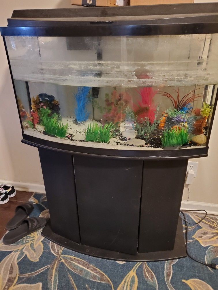 Fish Tank