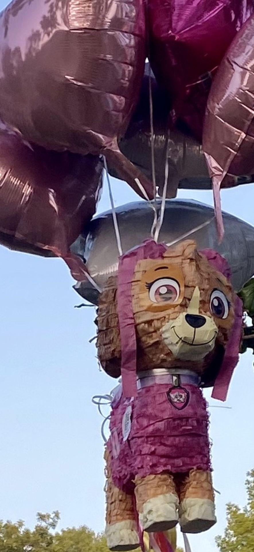 Paw Patrol Piñata With 6 Foil Balloons