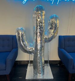 Disco cactus