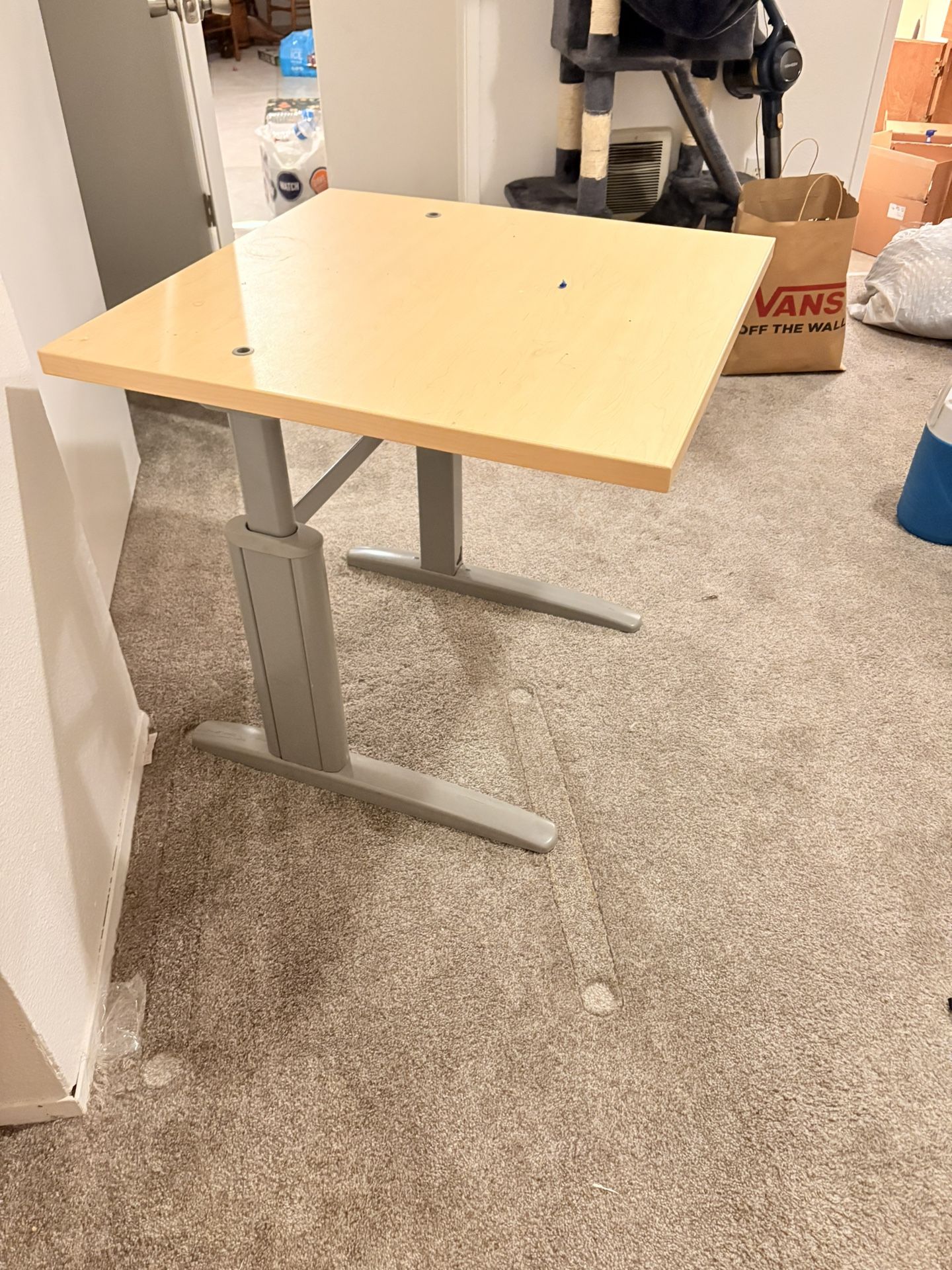 Table Bed Library Staff & Cat Gym