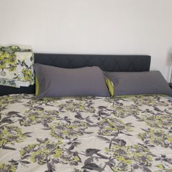 New KENSIE  Home KING Duvet Cover 2 Pillow Cases And 4 Curtains 100% Cotton