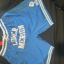 Brand new big Mens Basketball shorts