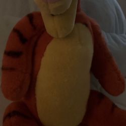 Tigger Old Stuffed Animal