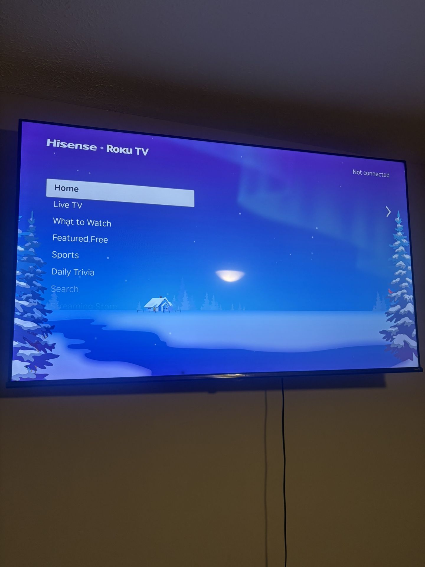 Roku Tv