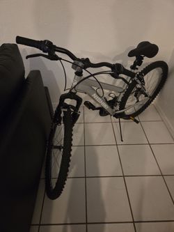 Nishiki Men's Bicycle