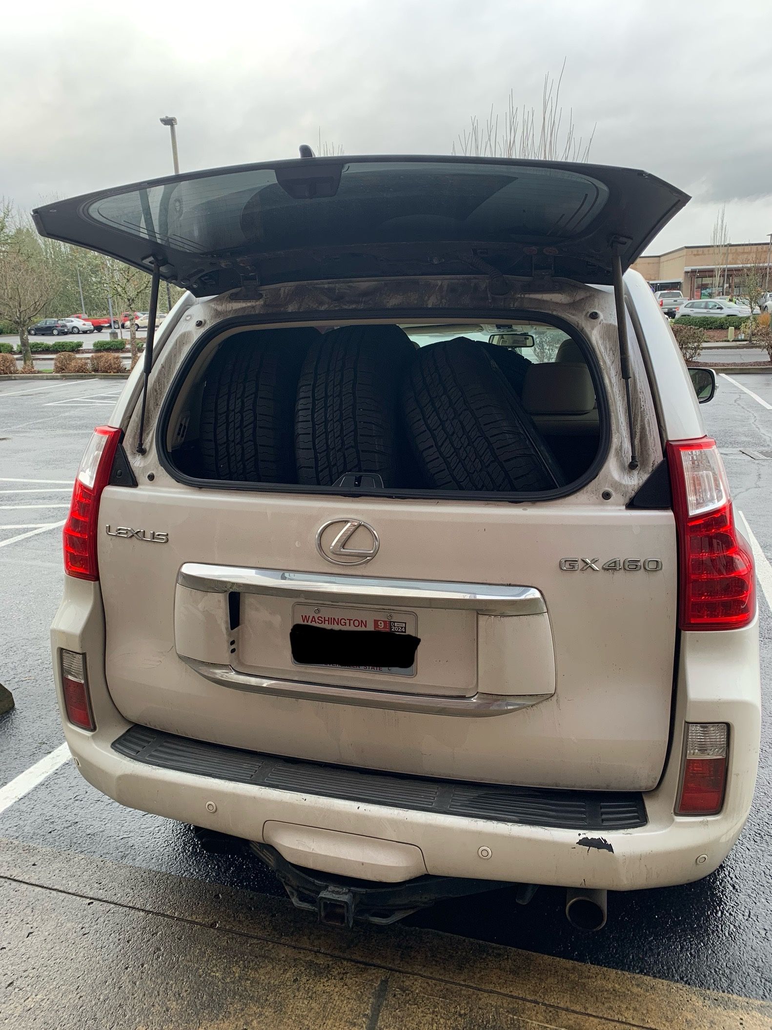 2010 Lexus GX 460